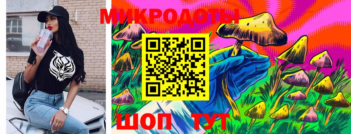 Галлюциногенные грибы GOLDEN TEACHER Зима