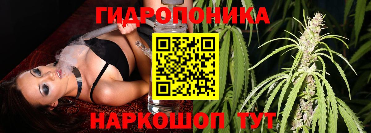 Каннабис семена  Бошки марихуана марихуана  Каннабис MAZAR  Вход с VPN  Зима 